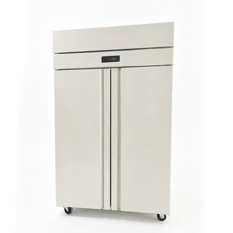 Vertical commercial freezer-A003